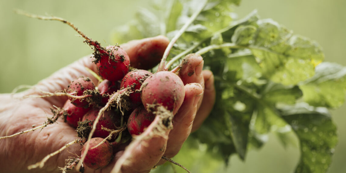 Connection to Nature: Food, Environment, and Ancestral Health