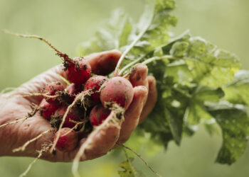 Connection to Nature: Food, Environment, and Ancestral Health